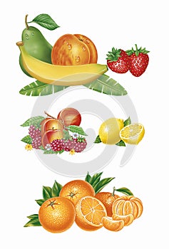Set of Fruits