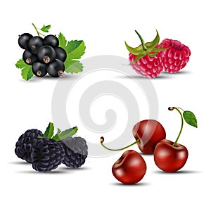 Set of fruits - blackcurrant, raspberry, blackberry and cherry