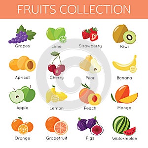 Set of fruits icons. Flat style design