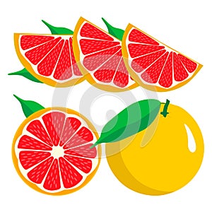 Set fruits Orange grapefruit lemon lime.