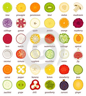 A set of fruits and vegetables in the cut. Vector illustration.