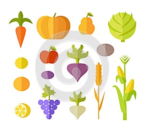 Set of Fruits Vegetables Vector Illustration.