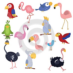 Set funny African birds