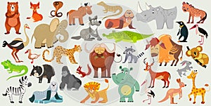 Set of funny animals, birds and reptiles from all over the world. World fauna. Vector