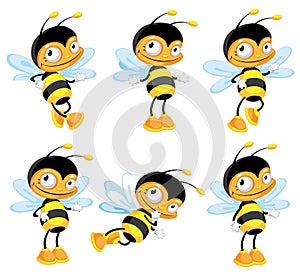 Set funny bee