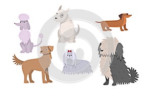 Set of funny big and small dogs breeds vector illustration