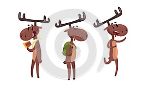 Set of Funny Brown Moose in Various Poses Set, Cute Wild Humanied Forest Animal Cartoon Character Cartoon Style Vector
