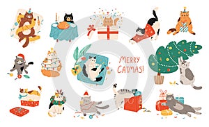 Set of funny cats celebrating Christmas. Pets playing with Christmas decorations