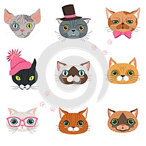 Set of funny cats heads of different breeds, colorful character vector Illustrations