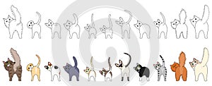 Set of funny cats showing their butts