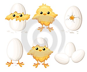 Set of funny chicken in egg for easter decoration cartoon flat clipart yellow bird in an egg shell illustration on w