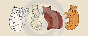 A set of funny cute cats in different poses in the style of hand drawing. Collection in different poses of pets. Vector