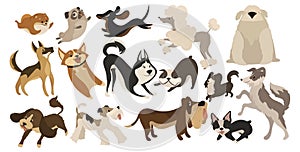 Set of funny dogs. Collection of cartoon playing dogs. Vector illustration of happy pets for kids. Set of purebred dogs.