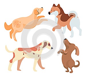 Set Funny Dogs Isolated Puppies Cartoon Purebreds photo