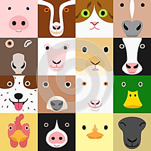 Set of funny farm animals face in square