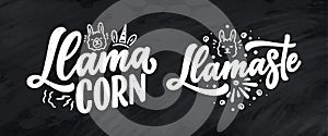 Set with funny hand drawn lettering quotes about llama. Cool phrases for print and poster design. Inspirational kids