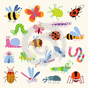 Set funny insects