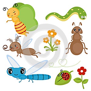 Set funny insects.