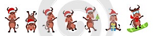 Set Funny Oxen, Christmas Bulls, Cheerful Cartoons in Santa Hats