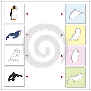 Set of funny penguin, whale, polar owl and orca. Educational game for kids