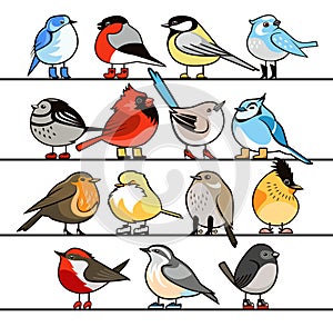 Set of funny small birds, vector illustration