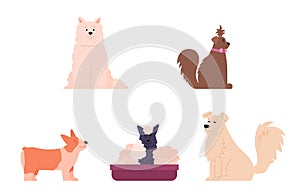 Set of funny various purebred dogs, cartoon vector illustration isolated.