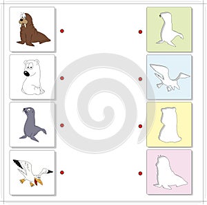 Set of funny walrus, polar bear, seal and sea gull. Educational