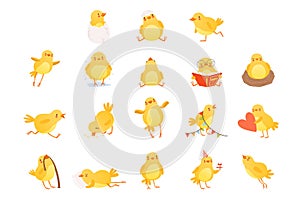 Set of funny yellow chicken in various situations. Cartoon character of little farm bird. Isolated flat vector design