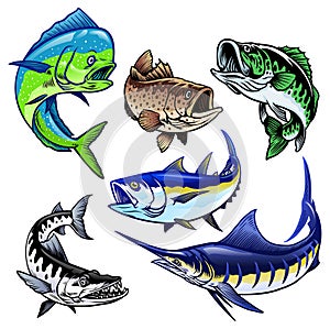 Set of gamefish bundle collection