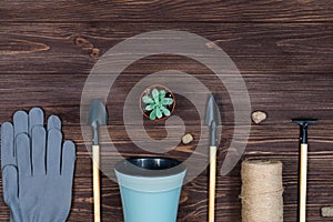 Set of garden tools and flower pots for transplanting flowers on a dark wooden background. Place for an inscription