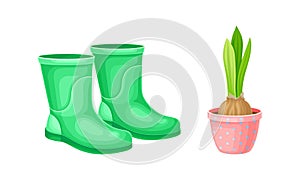 Set of gardening tools. Rubber boots and hyacinth in flower pot cartoon vector illustration