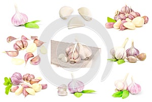 Set of Garlic isolated on white