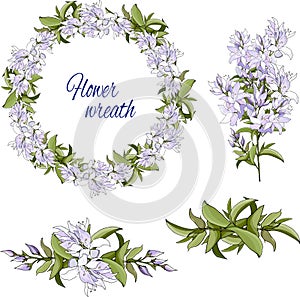 Set of gentle violet spring flowers on a white background. Vector floral brushes and wreath for decoration of cards,