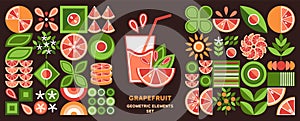 Set of geometric elements, logo with grapefruit