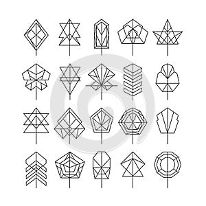The set of geometric trees