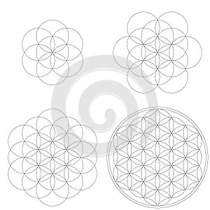Set of geometrical elements and shapes. Sacred Geometry Flower of Life development.
