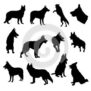 Set of German Shepherd Silhouette vector Illustration Eps10