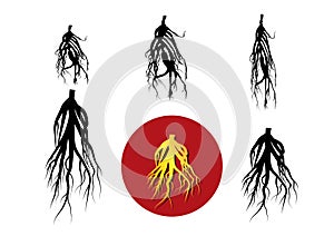Set of ginseng icon and silhouette, vector art