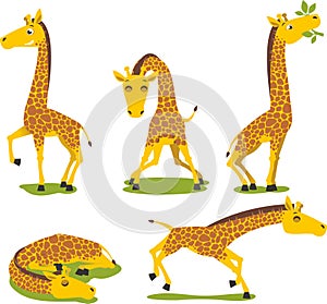 Set giraffe