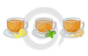 Set of glass cups with saucers with herbal tea inside and lemon slice, mint, ginger vector illustration