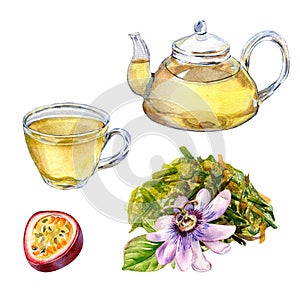 Set of glass teapot and cup, passion flower, fruit watercolor illustration isolated on white.