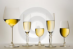 Set of glasses with white wine in series or row.