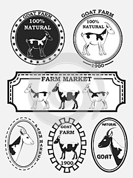 Set of goat labels, badges and design elements. Vector