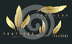 Set of gold logos with feathers for writers or publishers. photo