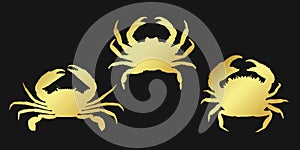 Set golden crab sign icon on black background. Golde vector clipart illustration