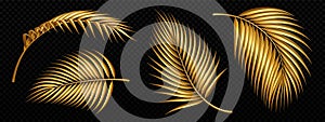 Set of golden palm tree leaves isolated on black