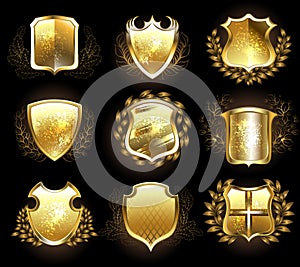 Set of golden shields photo