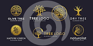 Set of golden tree logo with creative abstract element style Premium Vector