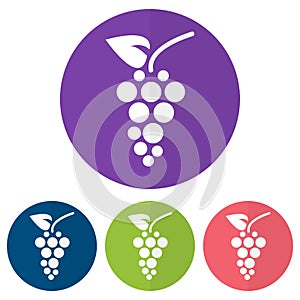 Set of grapes icon on a colorful circles. Vector illustration