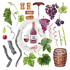 Set of grapes, wine glass, bottle, corkscrew, barrel, grape leaves. Hand drawn watercolor illustration on white background.